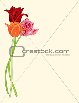 Greeting card with tulips