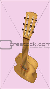 Vector Acoustic guitar
