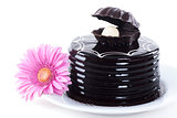 Chocolate cake and african daisy