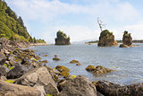 Pig and Sow Inlet in Garibaldi Oregon