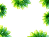 abstract green flower background