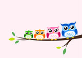 owl family at tree spring