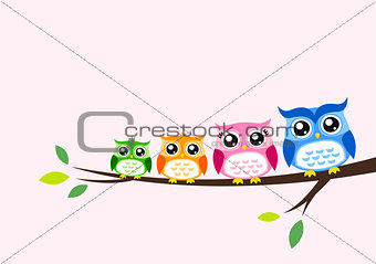 owl family at tree spring