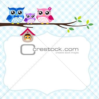 owl family spring illustration