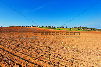 Fields in Israel