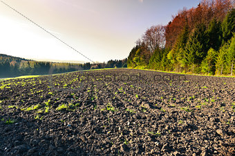 Plowed Fields