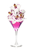 Pink orchid flowers in a cocktail glass