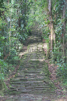 Indigenous stone stairs in Ciudad Perdida archeological site