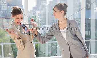 Businesswomen having a dispute