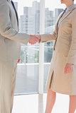 Business team shaking hands