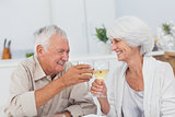 Couple toasting with white wine