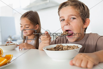 Boy eating cereal while having breakfast
