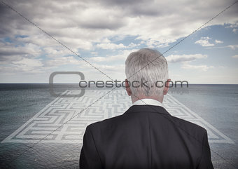 Businessman looking at landscape and maze