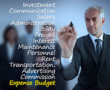 Sophisticated businessman writing expense terms