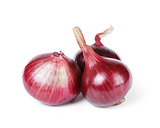 purple salad onion