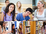 Collage of pictures showing students
