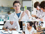 Collage of students doing chemistry