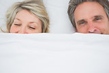 Couple waking up under the covers
