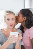 Pretty woman whispering secret to her friend