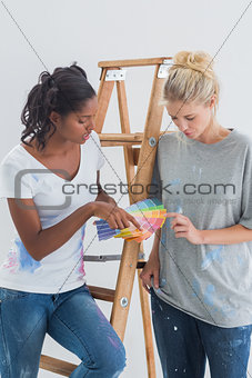 Pretty housemates choosing colour for wall