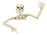 Halloween skeleton pointing