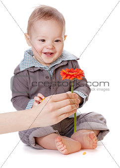 Small baby looking on red flower