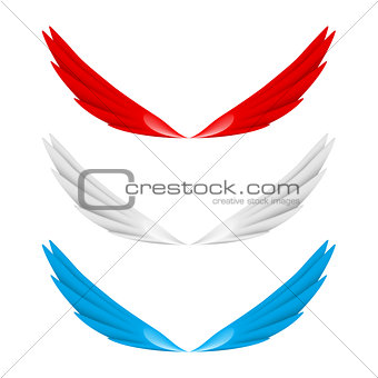 Abstract colorful wings