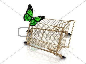 Big green butterfly flew to the basket 