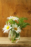 bouquet of fresh daisies on a wooden background