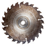 Old circular saw blade 