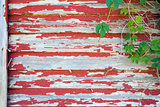 Old Red Barn with Peeling Paint and Vines