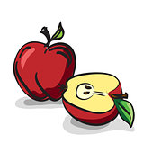 Red Delicious Apple fruits sketch drawing vector set