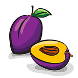 Plum fruits sketch drawing vector set