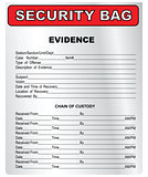 Security bag