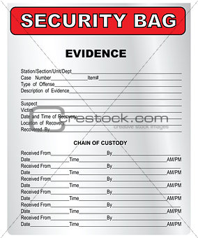 Security bag