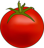 Vector Tomato.