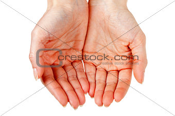 two female hands