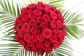 A huge bouquet of red roses. The isolated image on a white backg