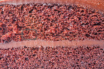 Close up sponge of chocolate custard cake 