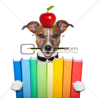 dog and books