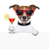 funny cocktail dog banner