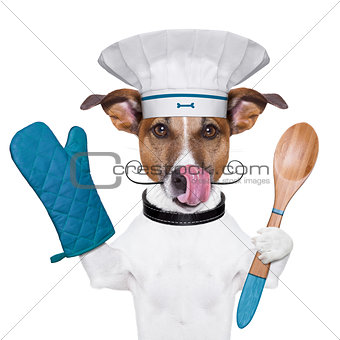 dog cook chef 