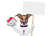 banner dog home and key