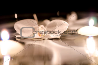 Orchid and candles floating on the water