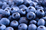 Closeup Image of Ripe Sweet Blueberries