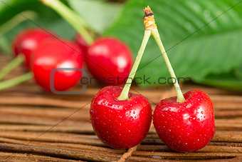 Cherries and branch with leaves