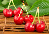 Cherries and branch with leaves