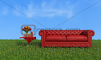 Red leather luxury sofa on grass