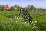 Gate and farm in Dutch country landcape