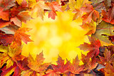 Colorful Maple Tree Fall Leaves Border with Bokeh